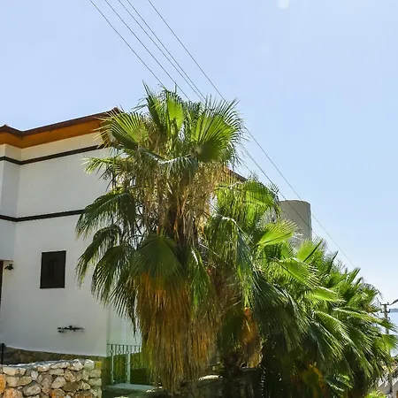 Villa No 17 - *